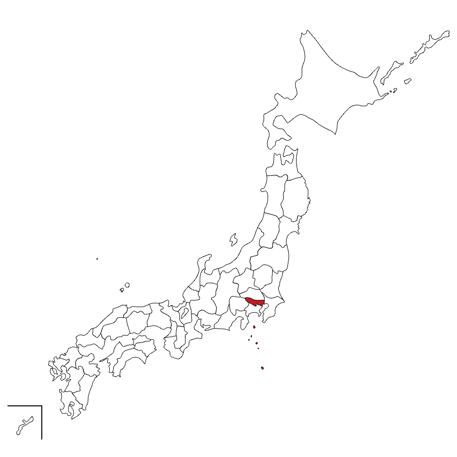 東京支部の活動イメージ